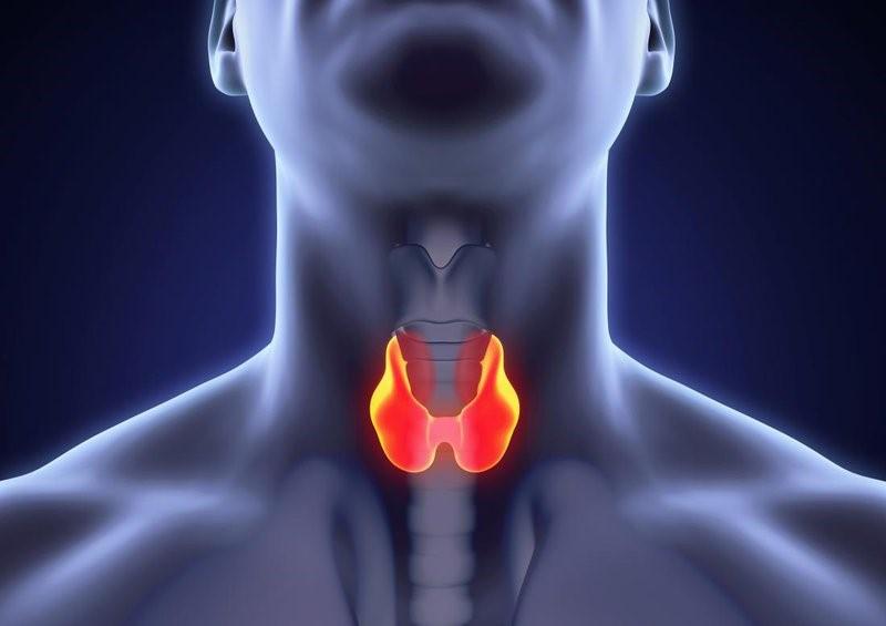 Xét nghiệm TRAb giúp chẩn đoán và điều trị bệnh Basedow